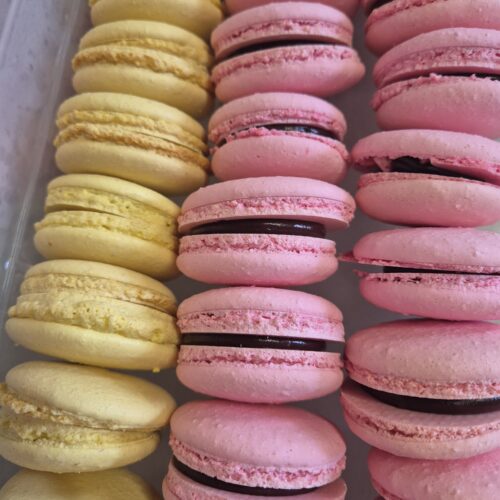 Reihenweise angeordnete Macarons in einer Box – links hellgelb, rechts in verschiedenen Rosatönen, jeweils mit dunkler Füllung in der Mitte.